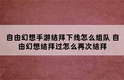 自由幻想手游结拜下线怎么组队 自由幻想结拜过怎么再次结拜